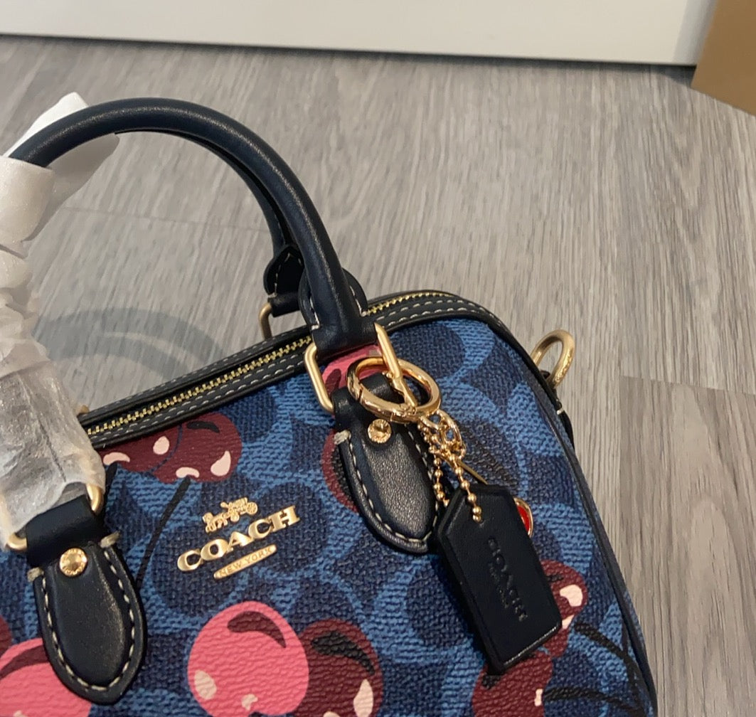 LuxluxHouse Best Quality Bags Coach