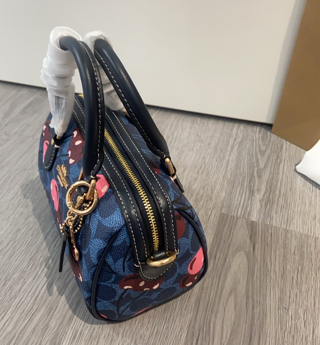 LuxluxHouse Best Quality Bags Coach