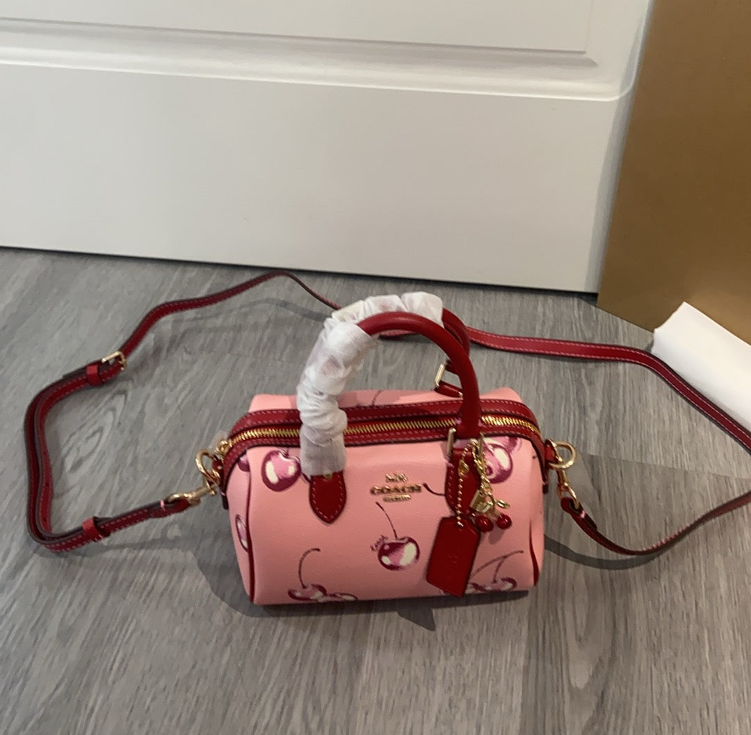 LuxluxHouse Best Quality Bags Coach