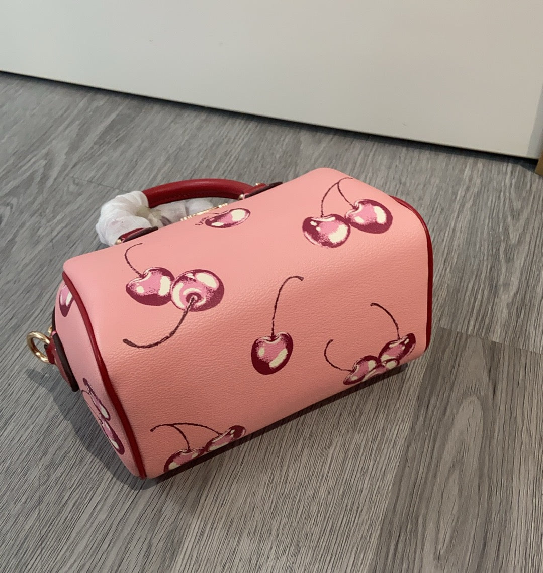 LuxluxHouse Best Quality Bags Coach