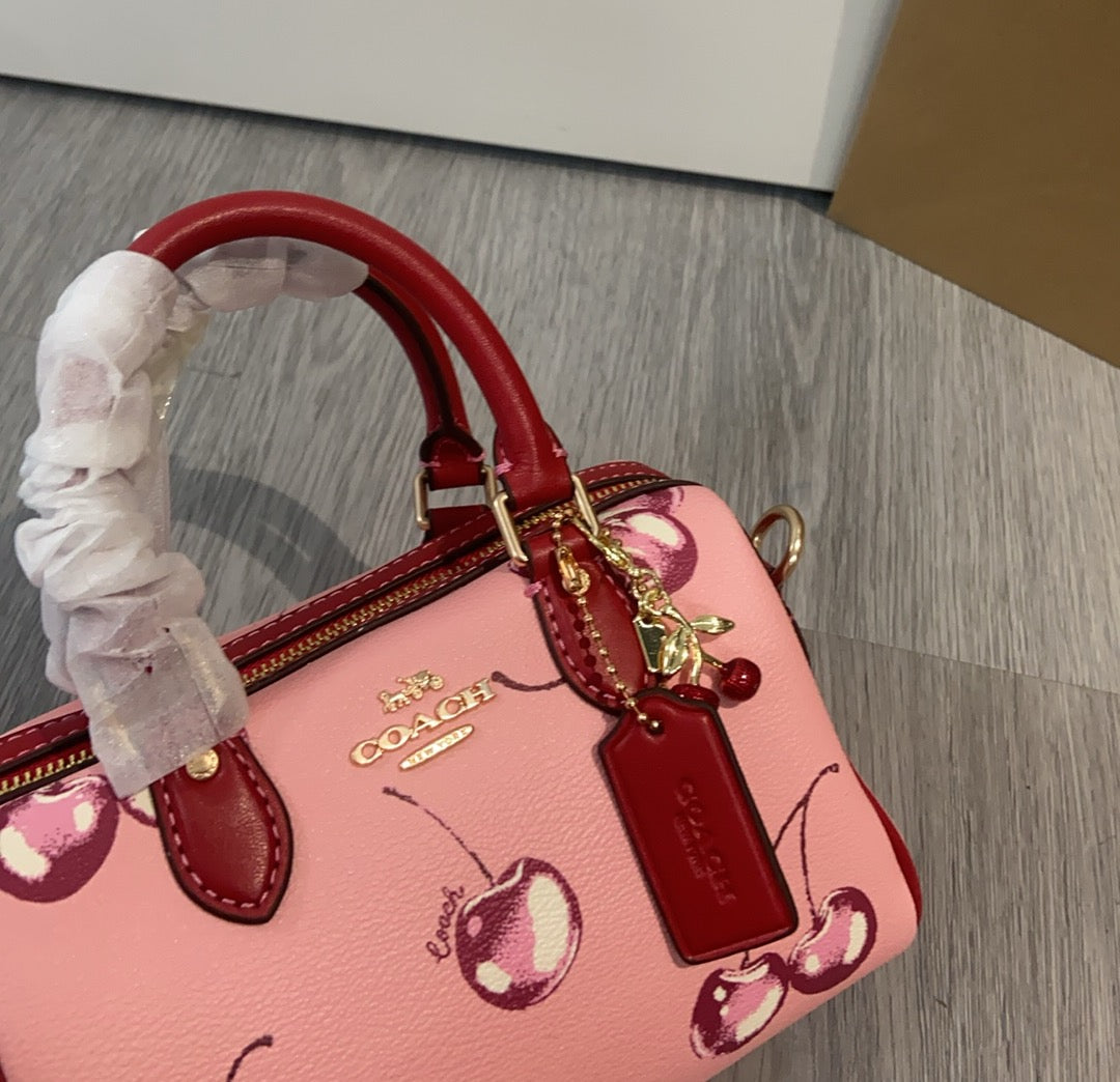 LuxluxHouse Best Quality Bags Coach