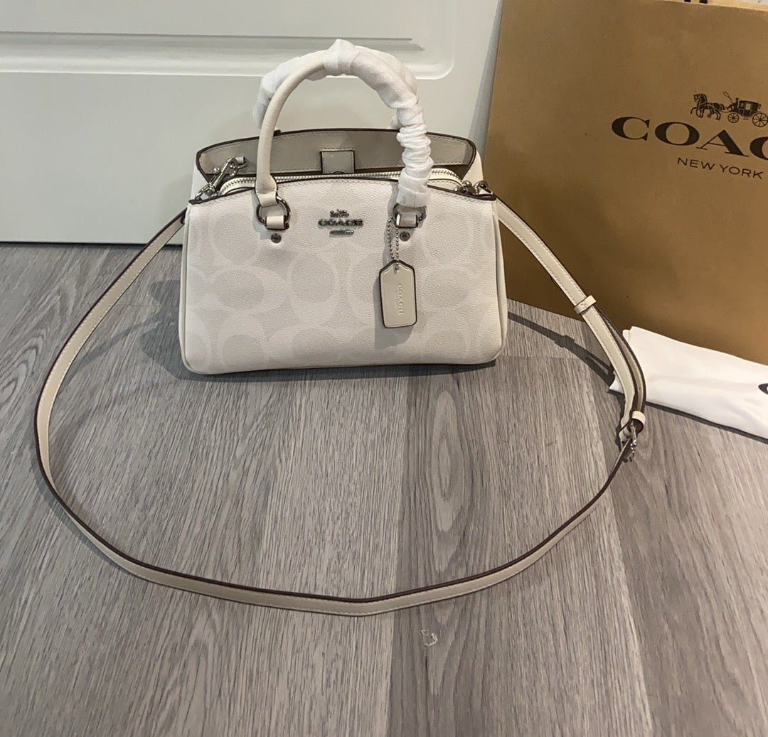 LuxluxHouse Best Quality Bags Coach