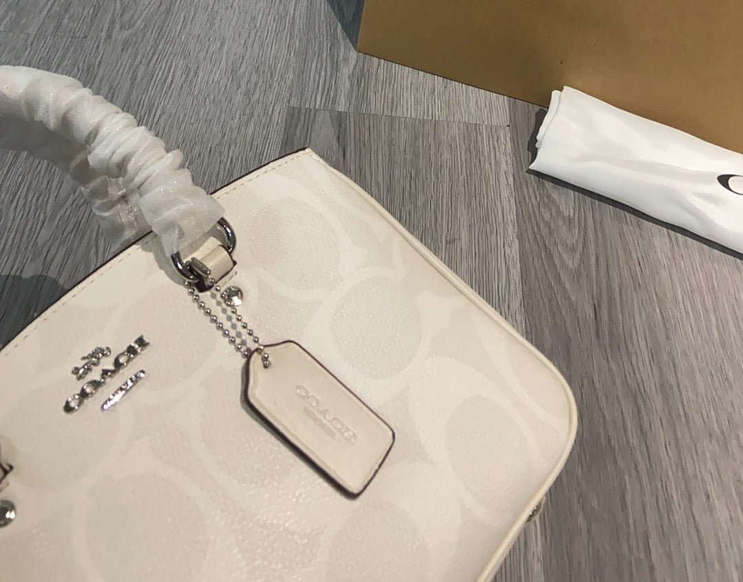 LuxluxHouse Best Quality Bags Coach