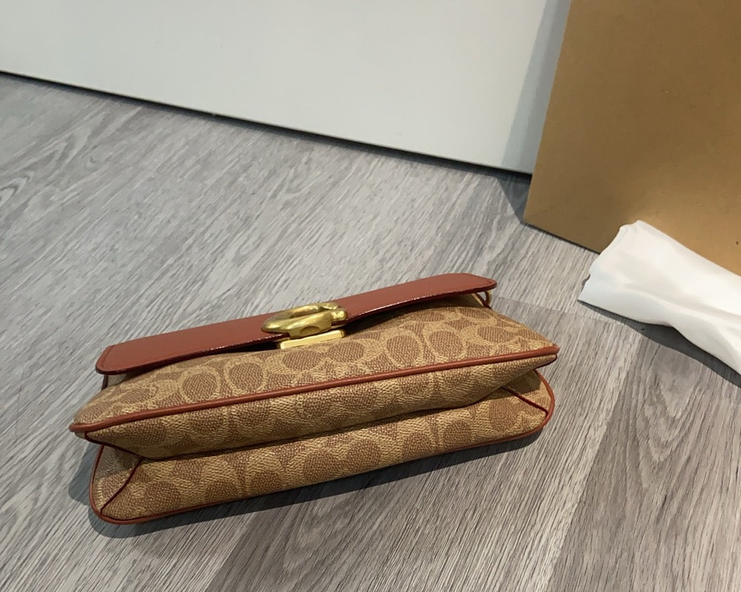 LuxluxHouse Best Quality Bags Coach