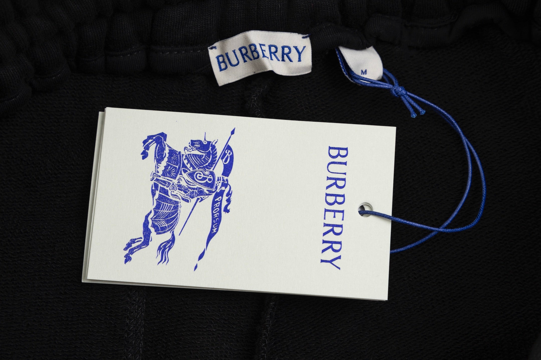 LuxluxHouse Best Quality Clothes Burberry Pants