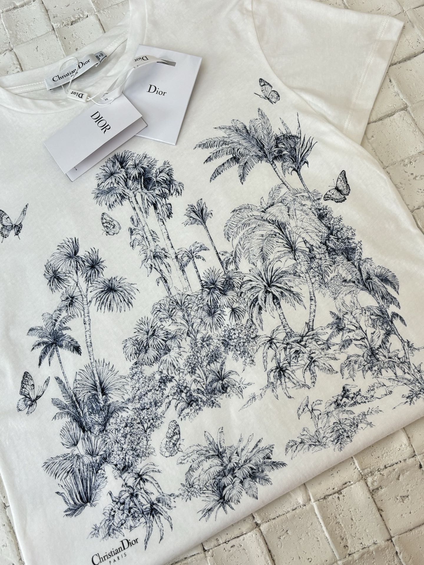 LuxluxHouse Best Quality Clothes T-shirt Dior