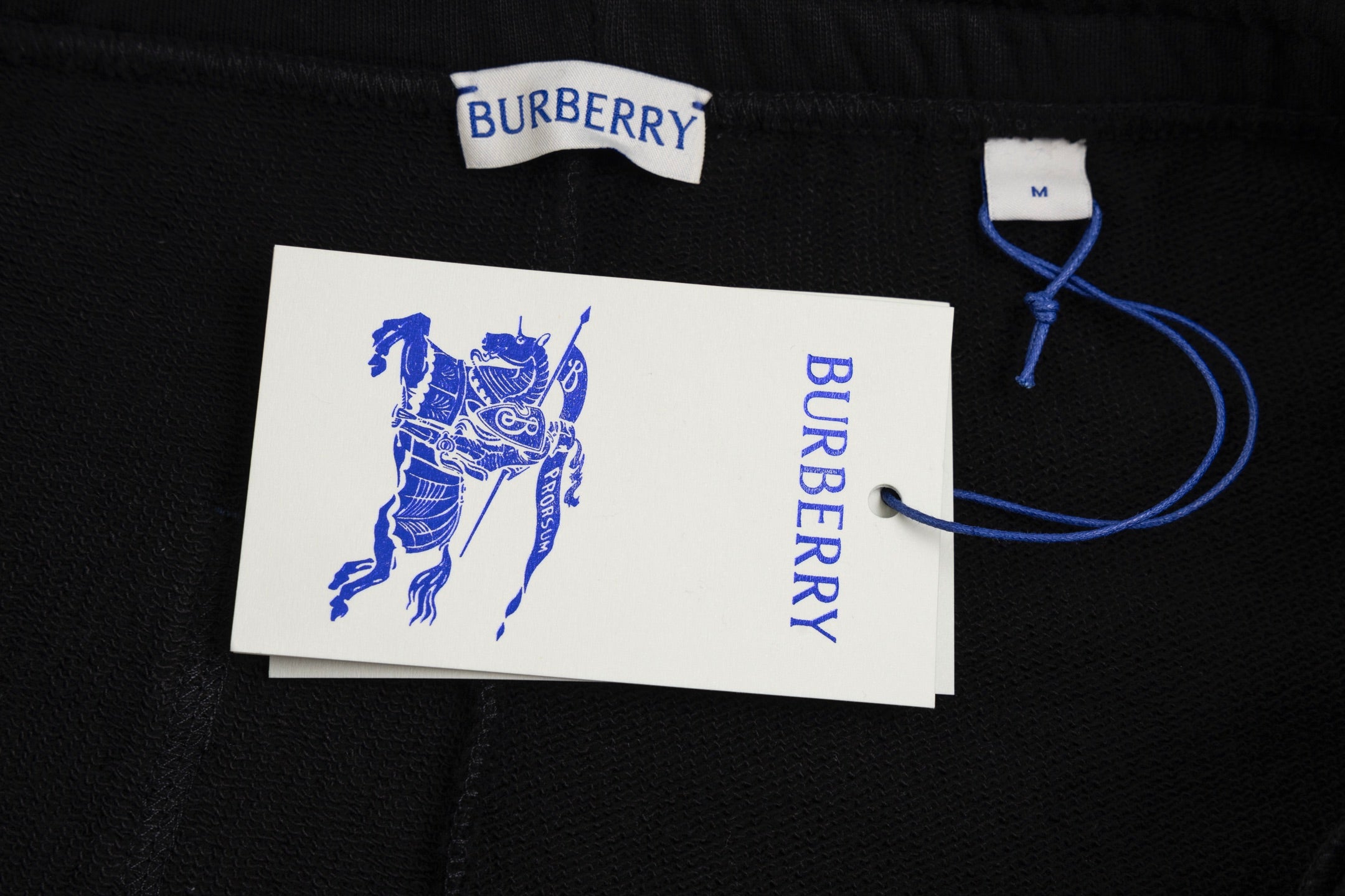 LuxluxHouse Best Quality Clothes Burberry Pants
