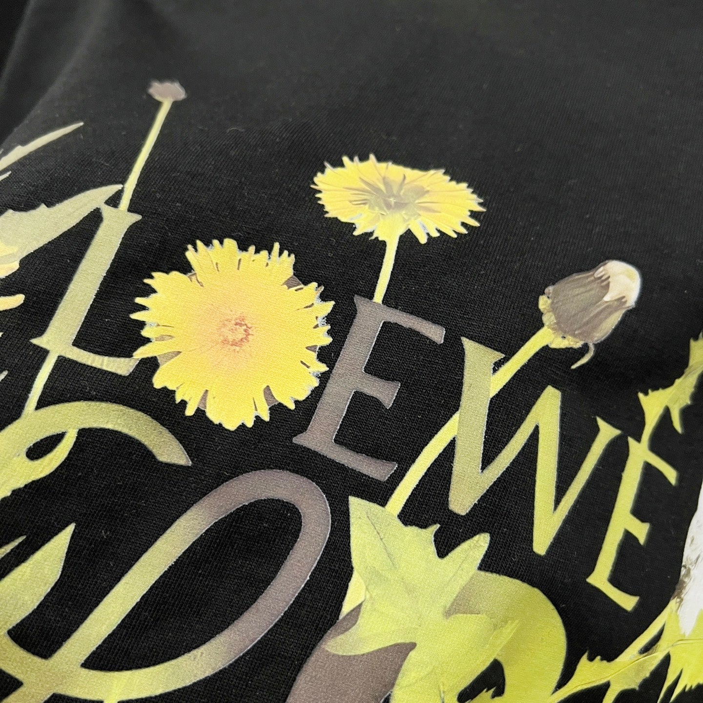 LuxluxHouse Best Quality Clothes T-shirt Loewe