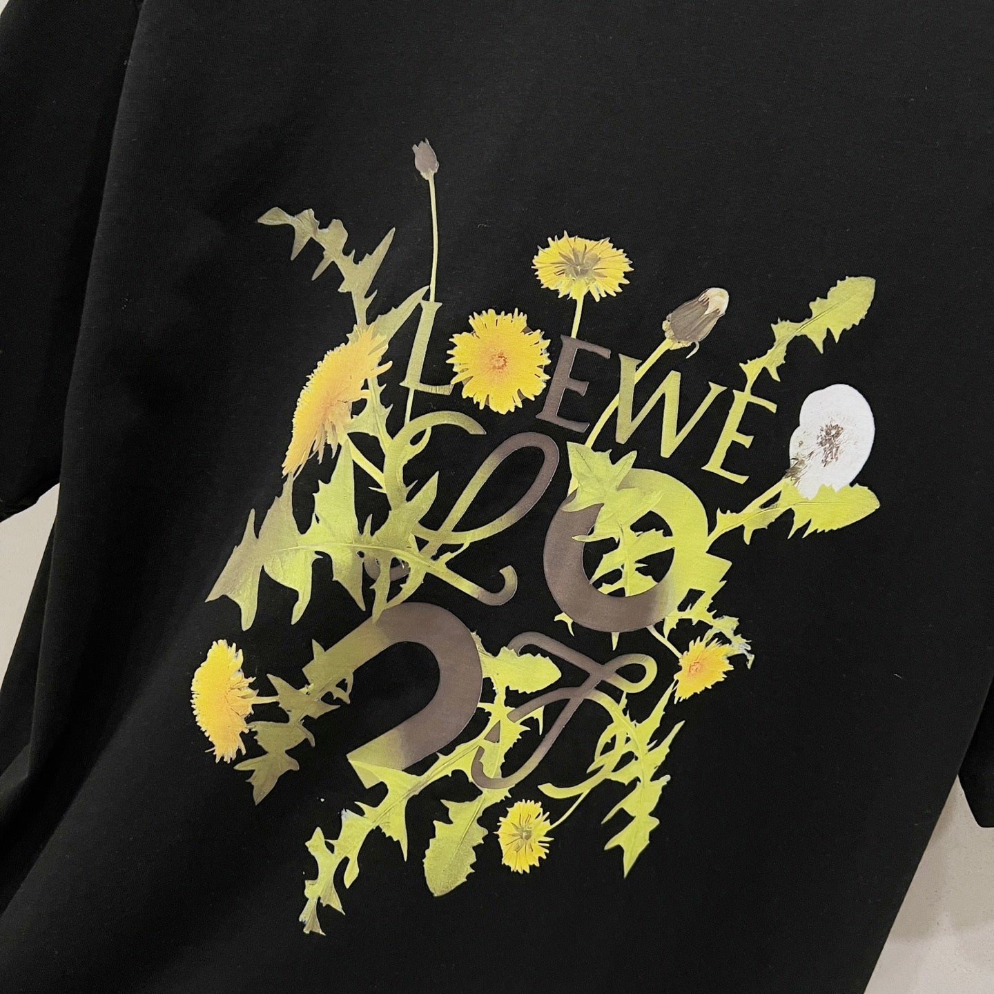 LuxluxHouse Best Quality Clothes T-shirt Loewe
