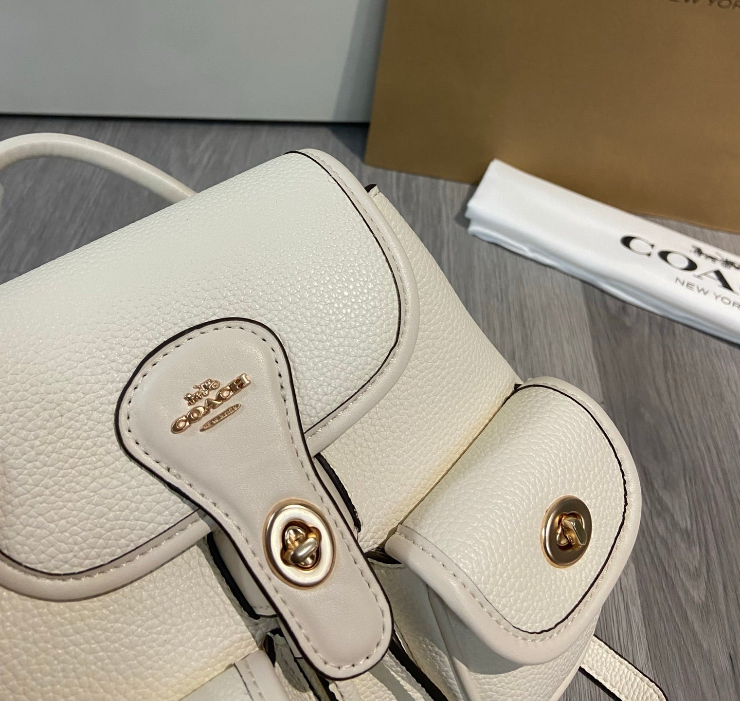 LuxluxHouse Best Quality Bags Coach