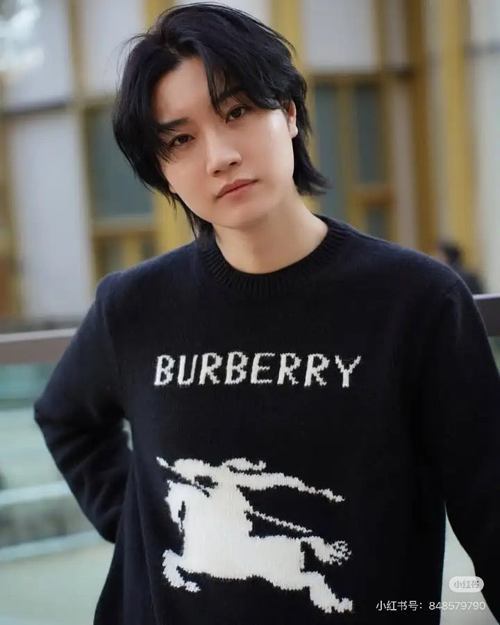 LuxluxHouse Best Quality Clothes Burberry Hoodie & Sweater