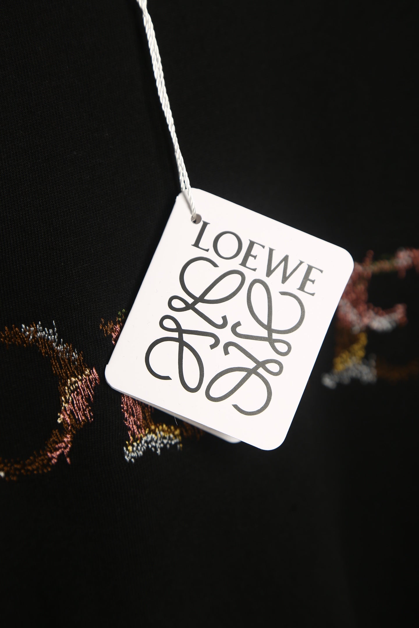 LuxluxHouse Best Quality Clothes T-shirt Loewe