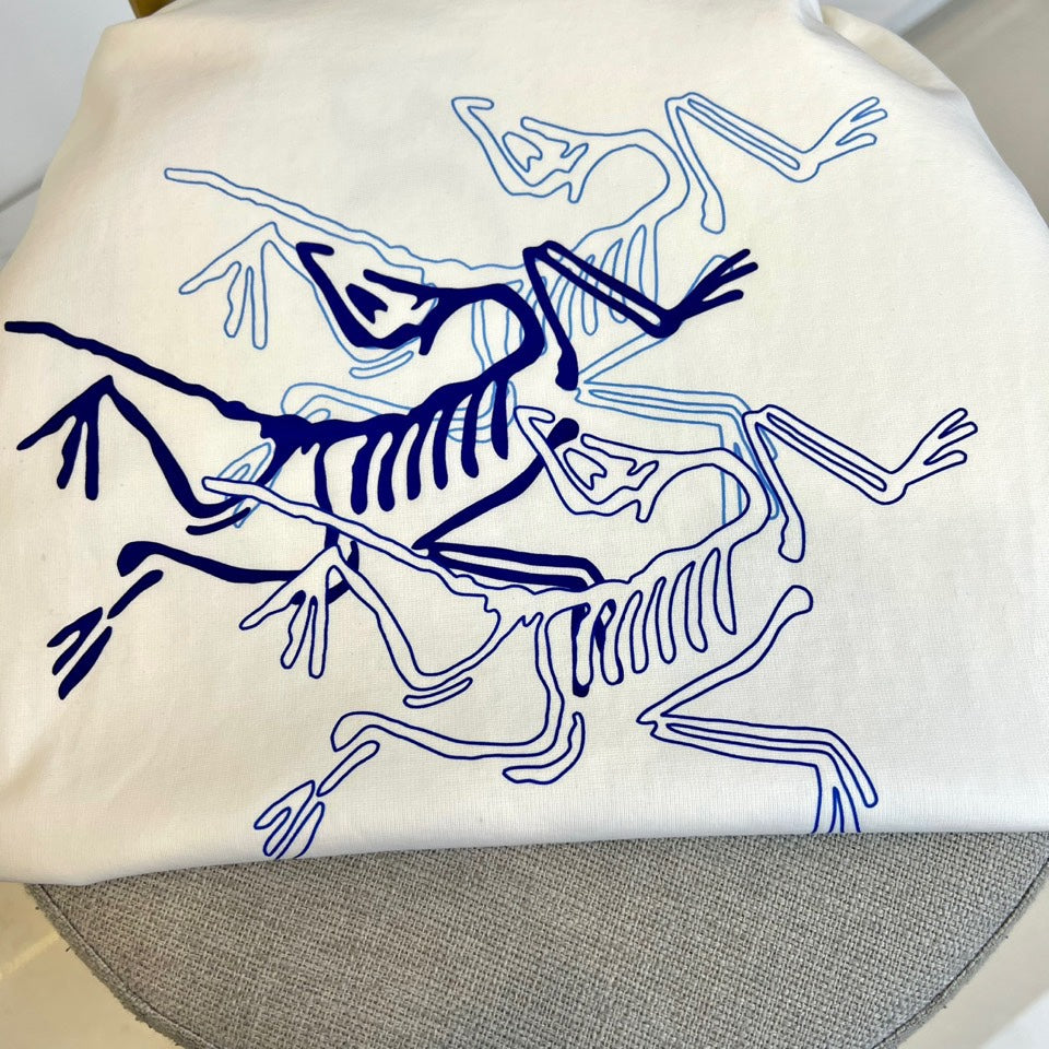 LuxluxHouse Best Quality Clothes T-shirt Arcteryx