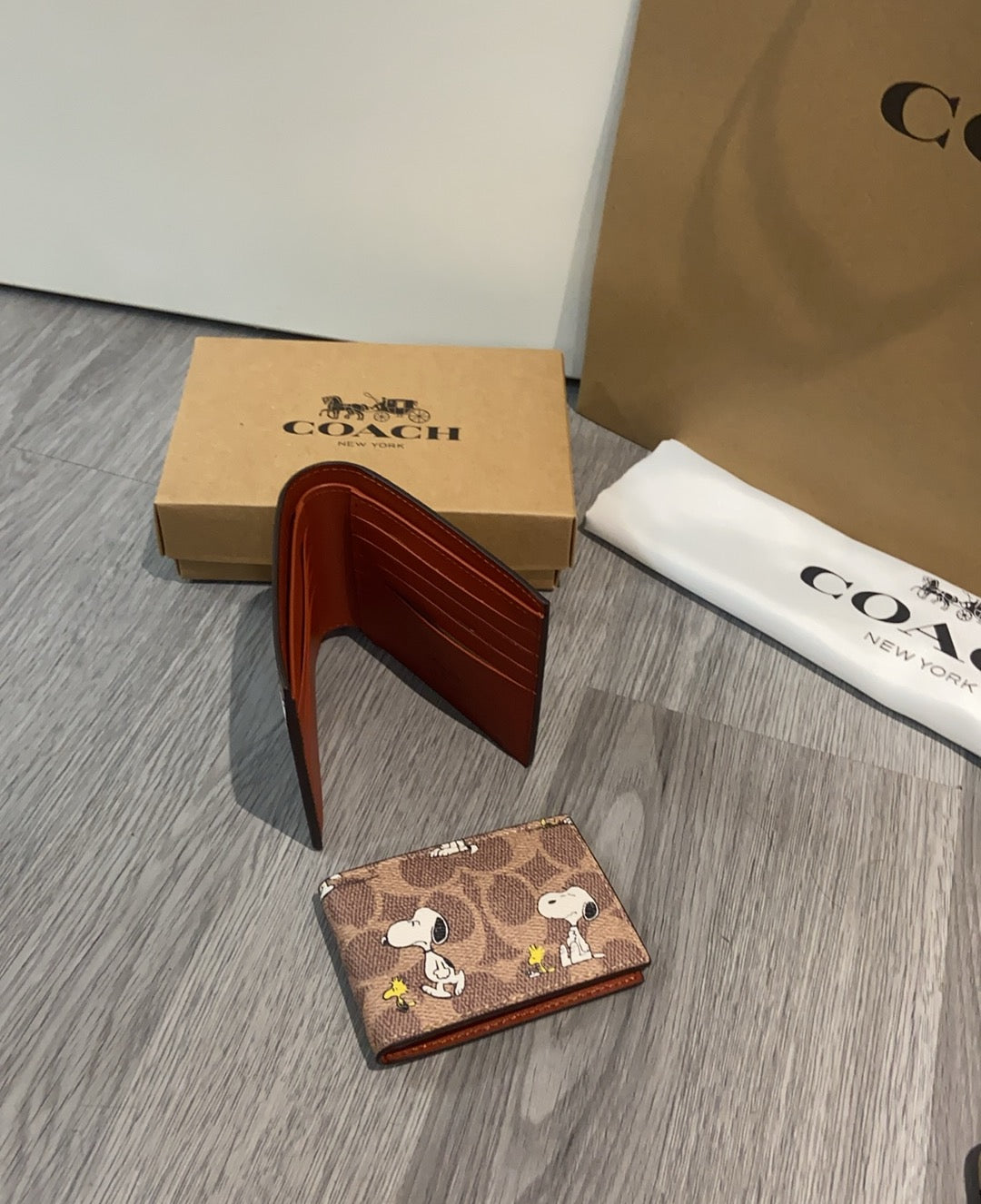 LuxluxHouse Best Quality Bags Coach