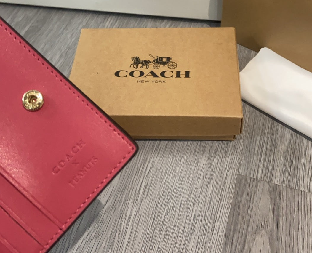 LuxluxHouse Best Quality Bags Coach