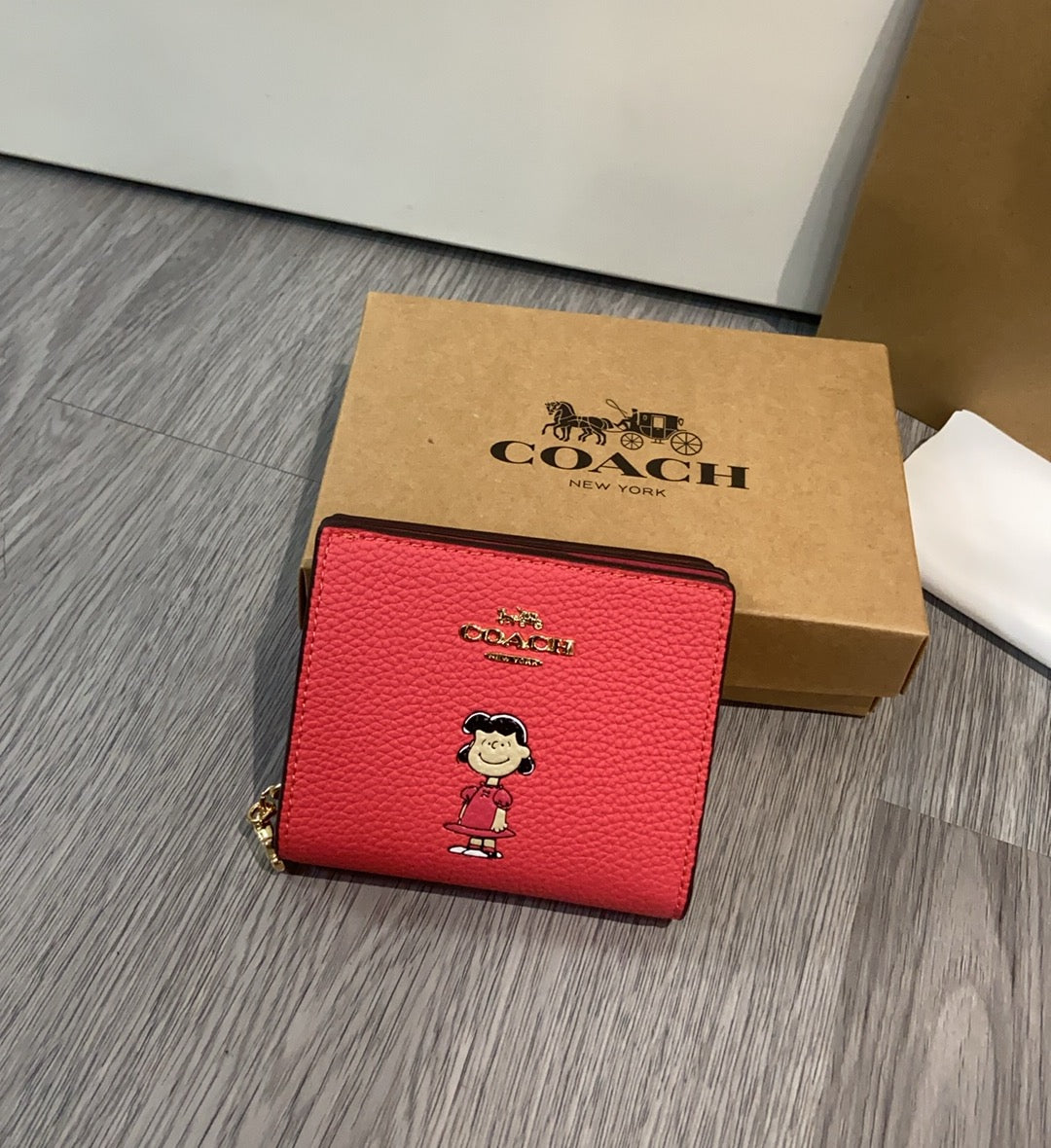 LuxluxHouse Best Quality Bags Coach