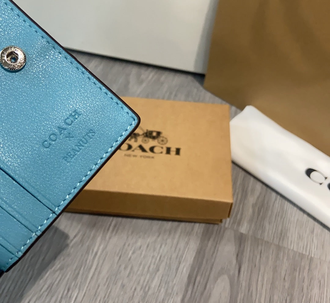 LuxluxHouse Best Quality Bags Coach
