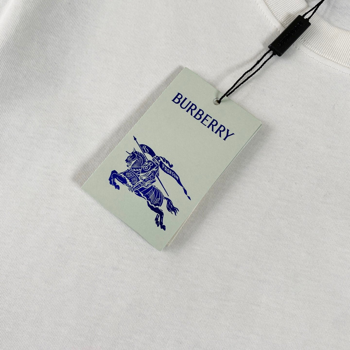 LuxluxHouse Best Quality Clothes Burberry T-shirt
