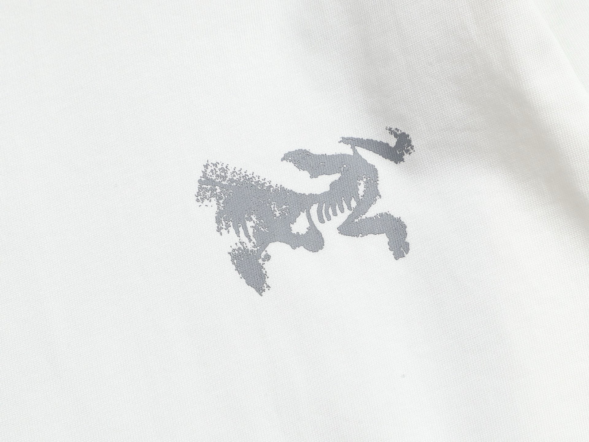 LuxluxHouse Best Quality Clothes T-shirt Arcteryx