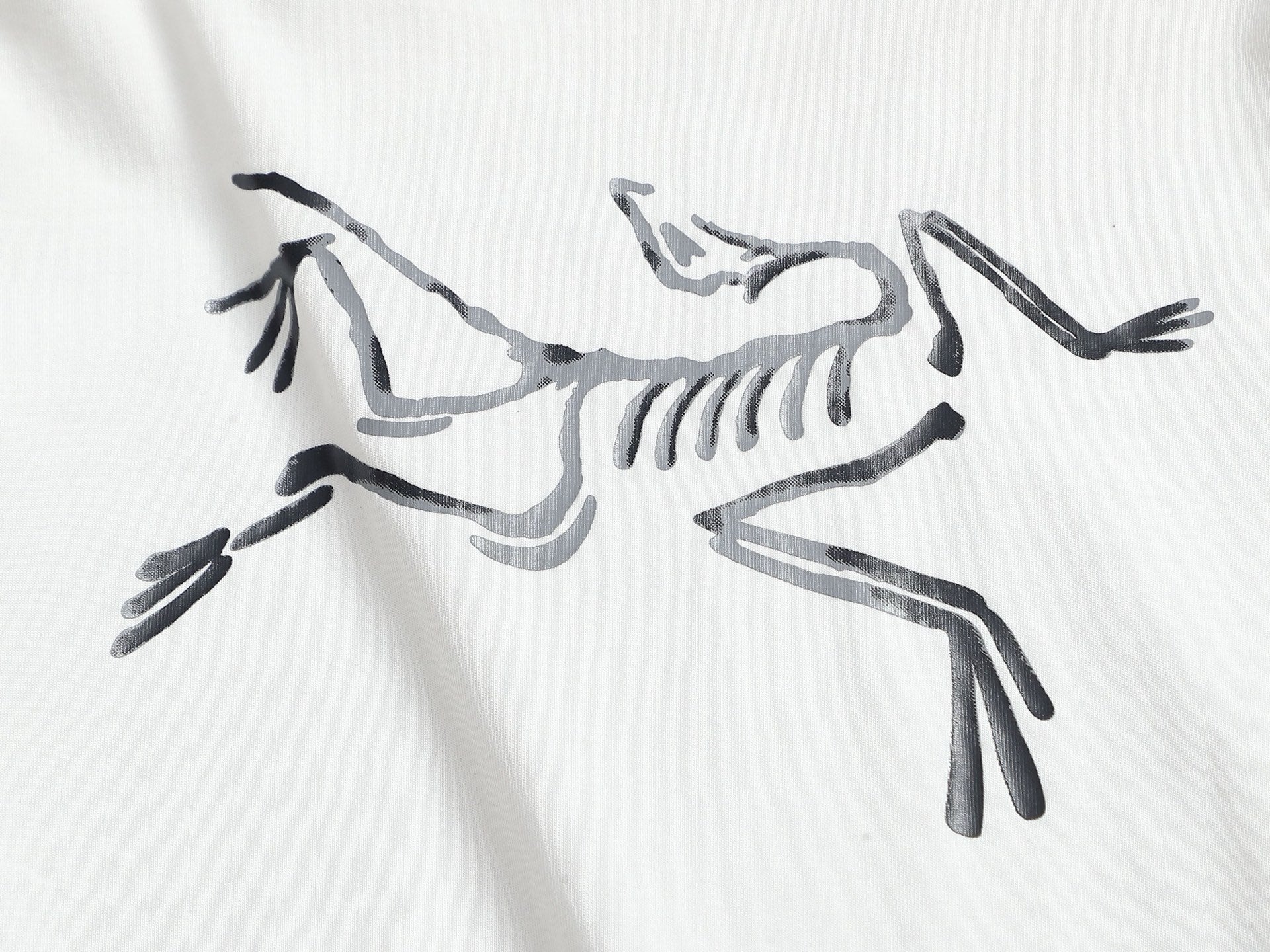 LuxluxHouse Best Quality Clothes T-shirt Arcteryx