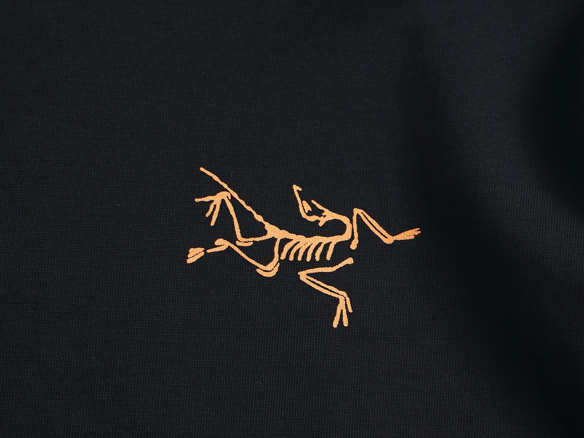 LuxluxHouse Best Quality Clothes T-shirt Arcteryx