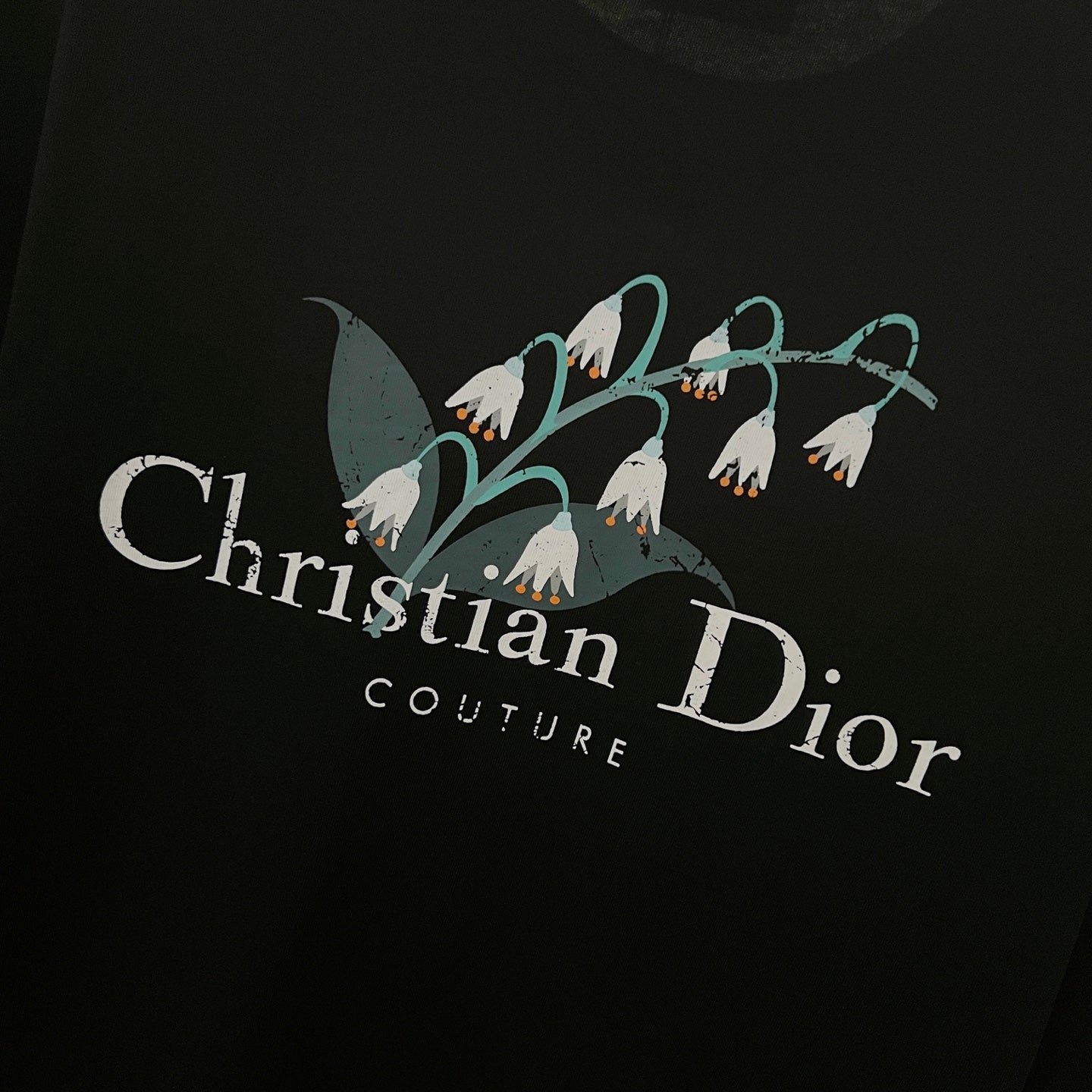 LuxluxHouse Best Quality Clothes T-shirt Dior