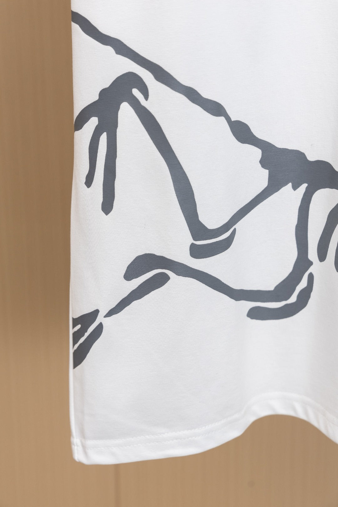 LuxluxHouse Best Quality Clothes T-shirt Arcteryx