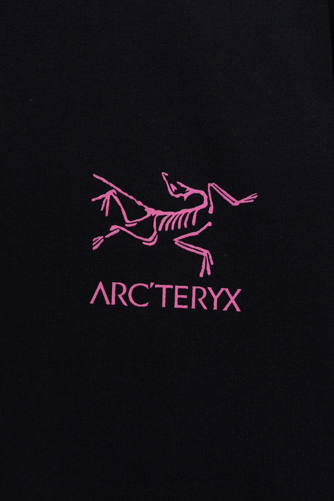 LuxluxHouse Best Quality Clothes T-shirt Arcteryx