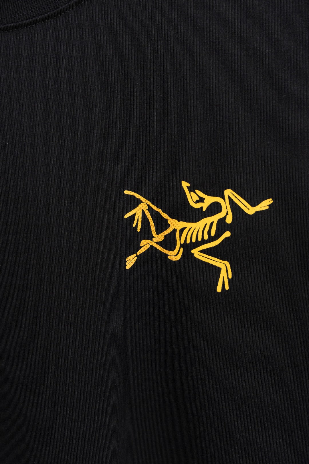 LuxluxHouse Best Quality Clothes T-shirt Arcteryx