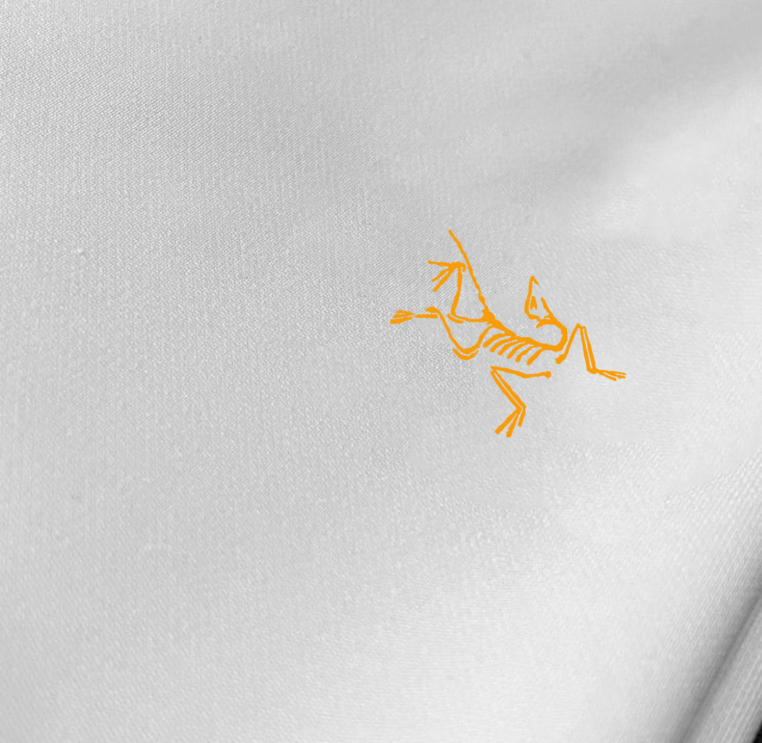 LuxluxHouse Best Quality Clothes T-shirt Arcteryx
